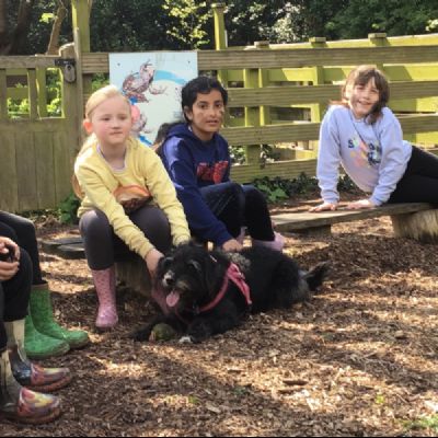 3OC Forest School Summer term